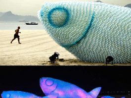 Plastic Bottle Fish Sculpture: Rio+20 Upcycling Art Plastic Fish at Rio+20 – upcycleDZINE