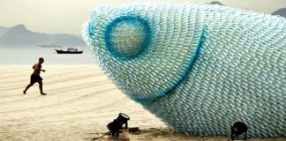 Plastic Fish at Rio+20 – upcycleDZINE