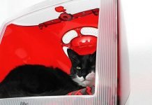 ‘Think Different’ by Atomic Attic 'Think Different' by AtomicAttic – upcycleDZINE