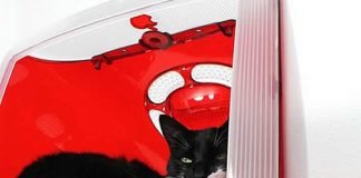 'Think Different' by AtomicAttic – upcycleDZINE