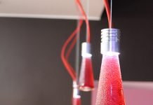 Bottle-Up by Giuseppe Casuccio and Valerio Palmieri