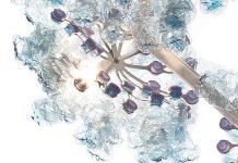 P.E.T. Light Tree: PET bottles used as lighting object by Walking Chair