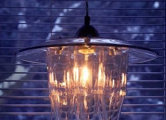 Beer Bottles Pendant Light by ZAL Creations