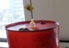 Upcycled Oil Drum Furniture & Design Ideas World of upcycling by Indusigns – upcycleDZINE