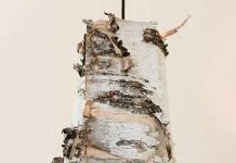 DIY: Birch Bark Lamps by Ruffled – upcycleDZINE