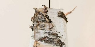 DIY: Birch Bark Lamps by Ruffled – upcycleDZINE