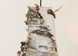 DIY: Birch Bark Lamps by Ruffled DIY: Birch Bark Lamps by Ruffled – upcycleDZINE