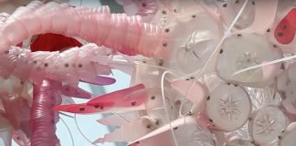 Plastic waste upcycled into art by Aurora Robson Plastic waste upcycled into art by Aurora Robson – upcycleDZINE