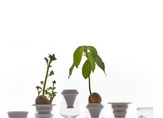 PLANTATION: porcelain planters by Alicja Patanowska – upcycleDZINE