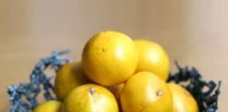 DIY: Plastic Army Men Fruit Bowl by Mike Pinder – upcycleDZINE