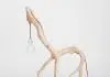 BICHOS: branch lighting by Martinho Pita BICHOS: branch lighting by Martinho Pita – upcycleDZINE