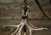 Cabin Lit Chandelier: upcycled shed Antlers by Moon Stone Fox – upcycleDZINE