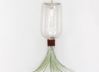 DIY: Hanging Bottle Vase for Air Plants by The Merrythought – upcycleDZINE