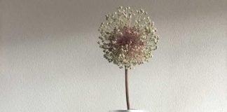 Advertising Banner Upcycled into Bottle Cover Vase by TOEPAS creaties – upcycleDZINE