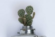 The eco-friendly guide to sorting waste, recycling and upcycling your old and unwanted items Upcycle waste | upcycleDZINE