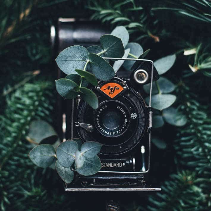 5 Upcycling Ideas for Used Cameras - old AGFA camera in nature | upcycleDZINE