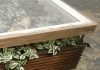 Hackney Botanical Terrarium Coffee Table | upcycleDZINE