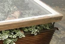 Stunning coffee table with indoor garden for a healthier interior Hackney Botanical Terrarium Coffee Table | upcycleDZINE