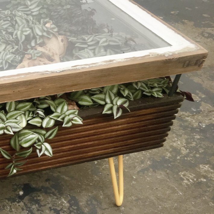 Stunning coffee table with indoor garden for a healthier interior