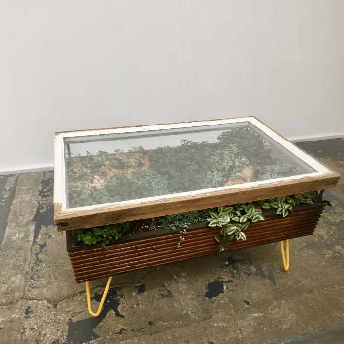 Stunning coffee table with indoor garden for a healthier interior