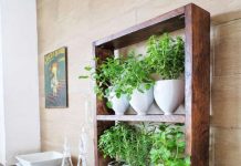 DIY: How to make your herb garden from upcycled every day products, from the side