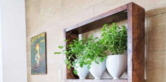 DIY: How to make your herb garden from upcycled every day products, from the side