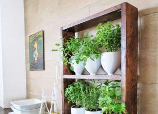 DIY: How to make your herb garden from upcycled everyday products DIY: How to make your herb garden from upcycled every day products, from the side